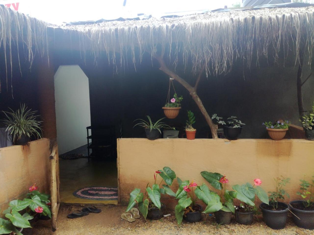 Cozy Homestay Ella Extérieur photo
